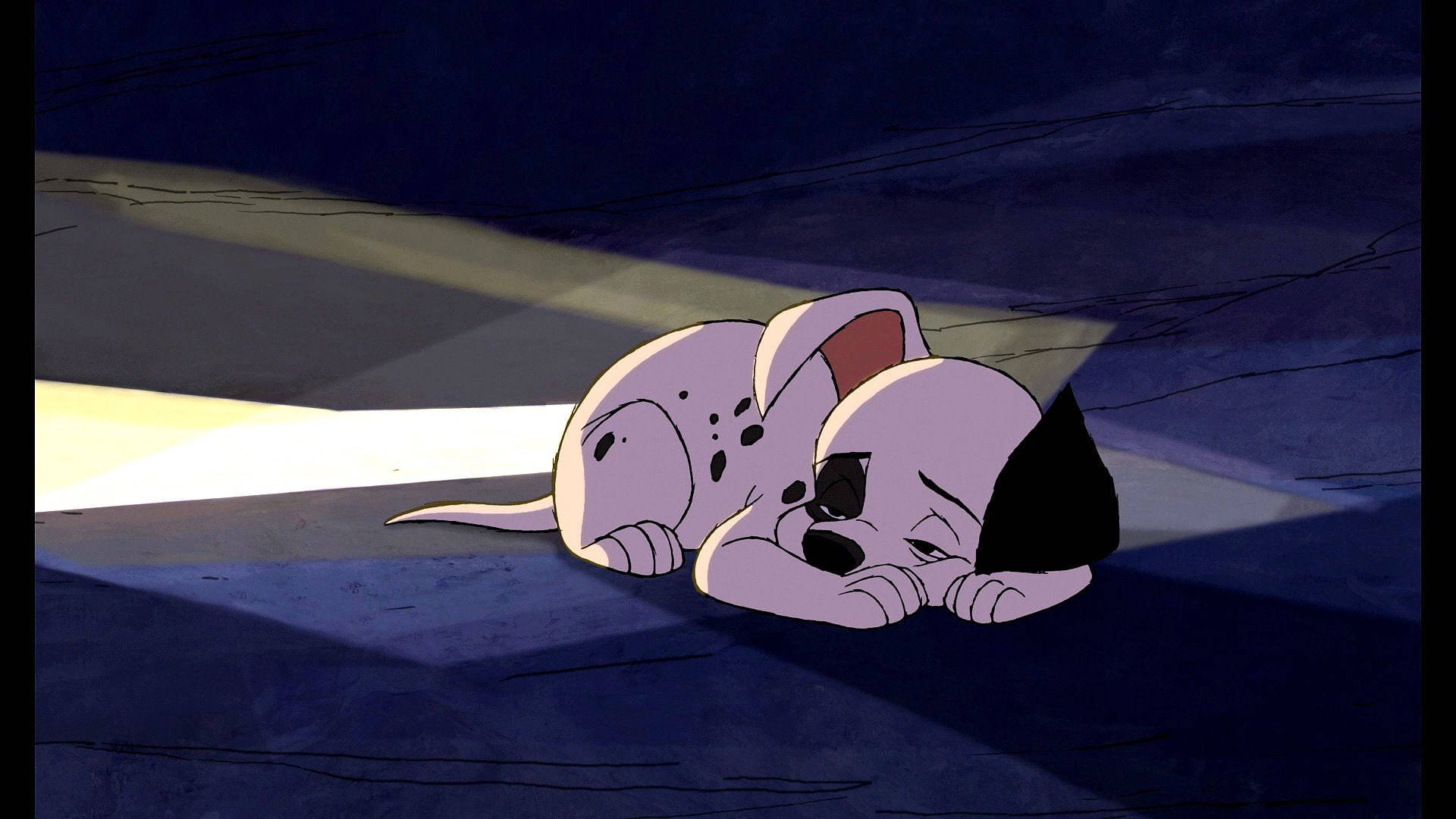 101 Dalmatians, dalmatian puppy, beam of light, Full HD Desktop Wallpaper