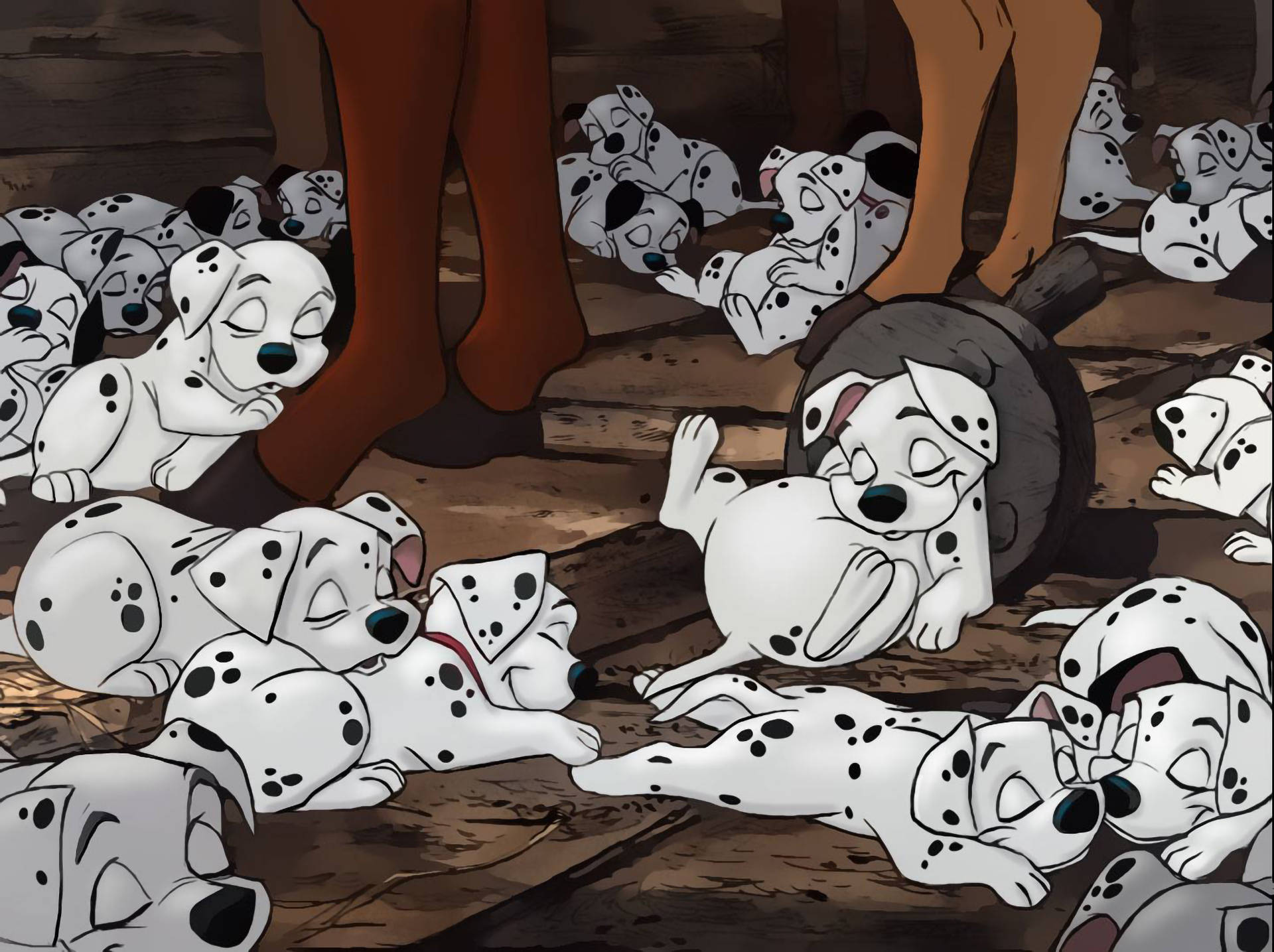 101 Dalmatians, dalmatian puppies, wooden floor, Full HD Desktop Wallpaper