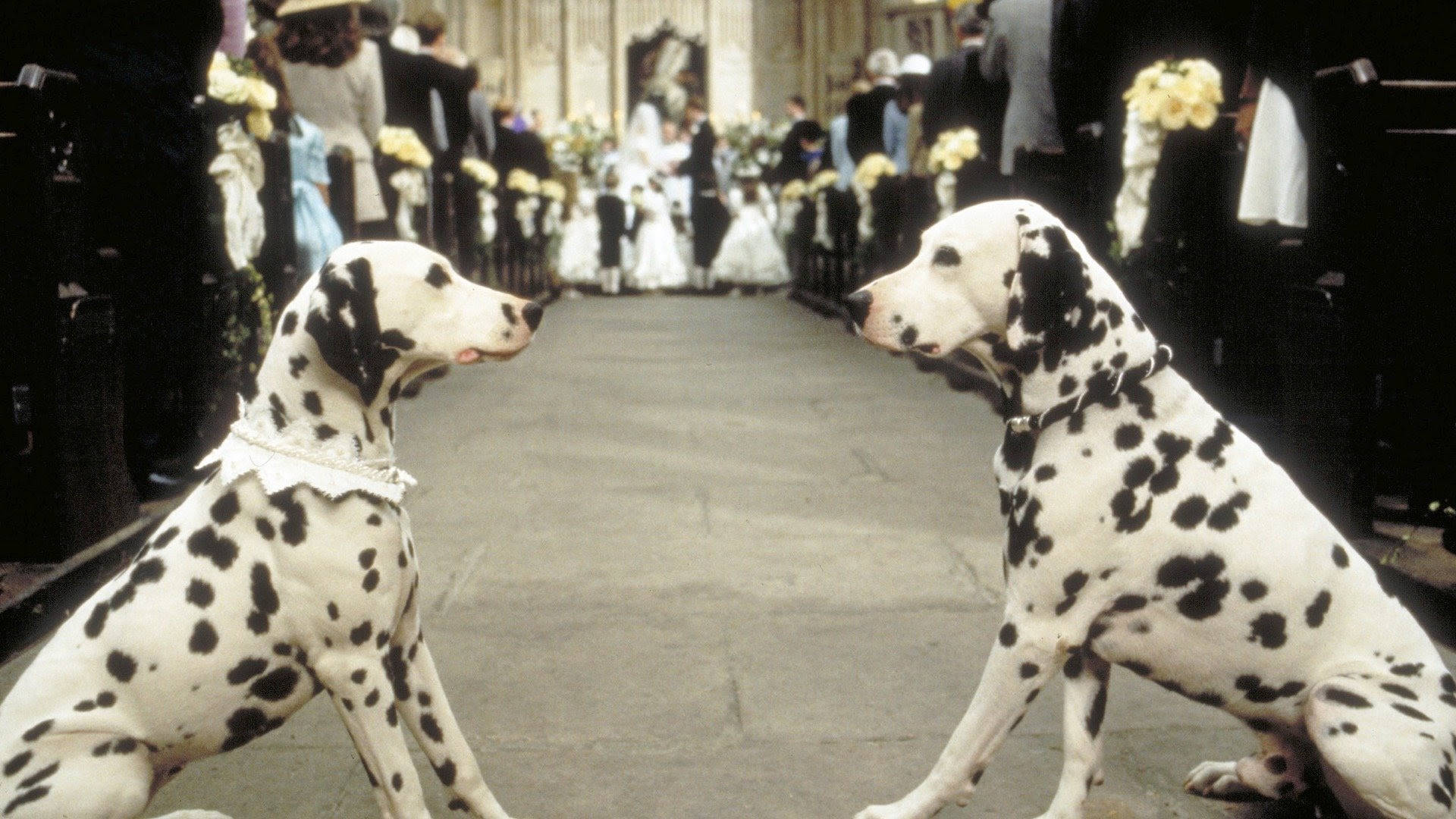 101 Dalmatians, wedding aisle, guests, Full HD Desktop Wallpaper