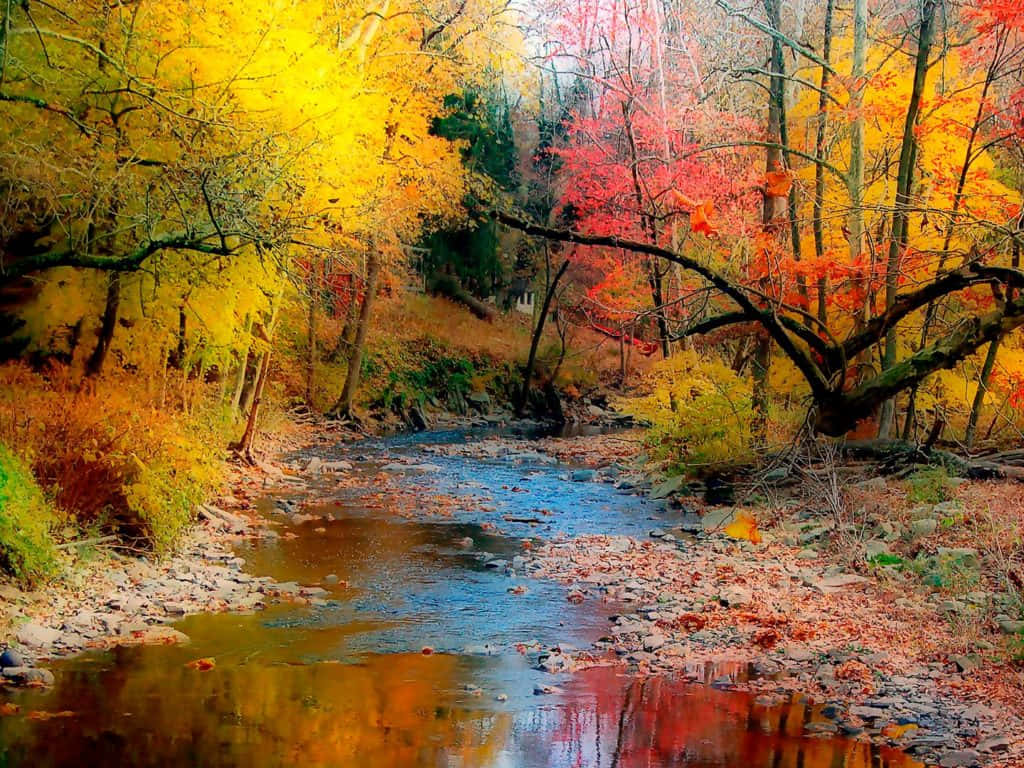 1024 x 768 autumn, autumn stream, forest, SD Desktop Wallpaper