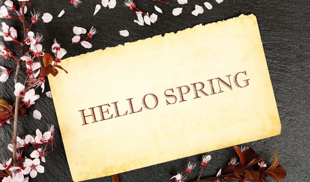 Vintage parchment, HELLO SPRING, pink cherry blossoms, SD Desktop Wallpaper