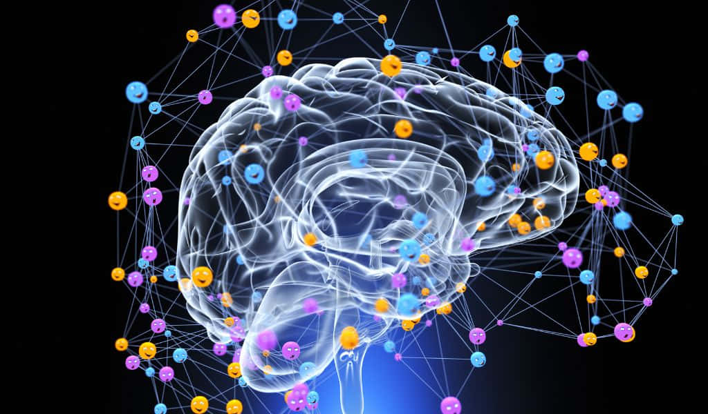 1024x600, glowing translucent brain, vibrant network of colorful nodes, SD Desktop Wallpaper