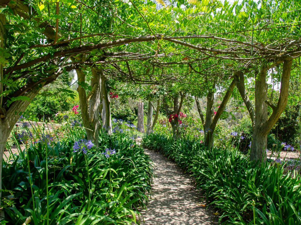 1024x768, sun-dappled garden path, lush green arbor, SD Desktop Wallpaper