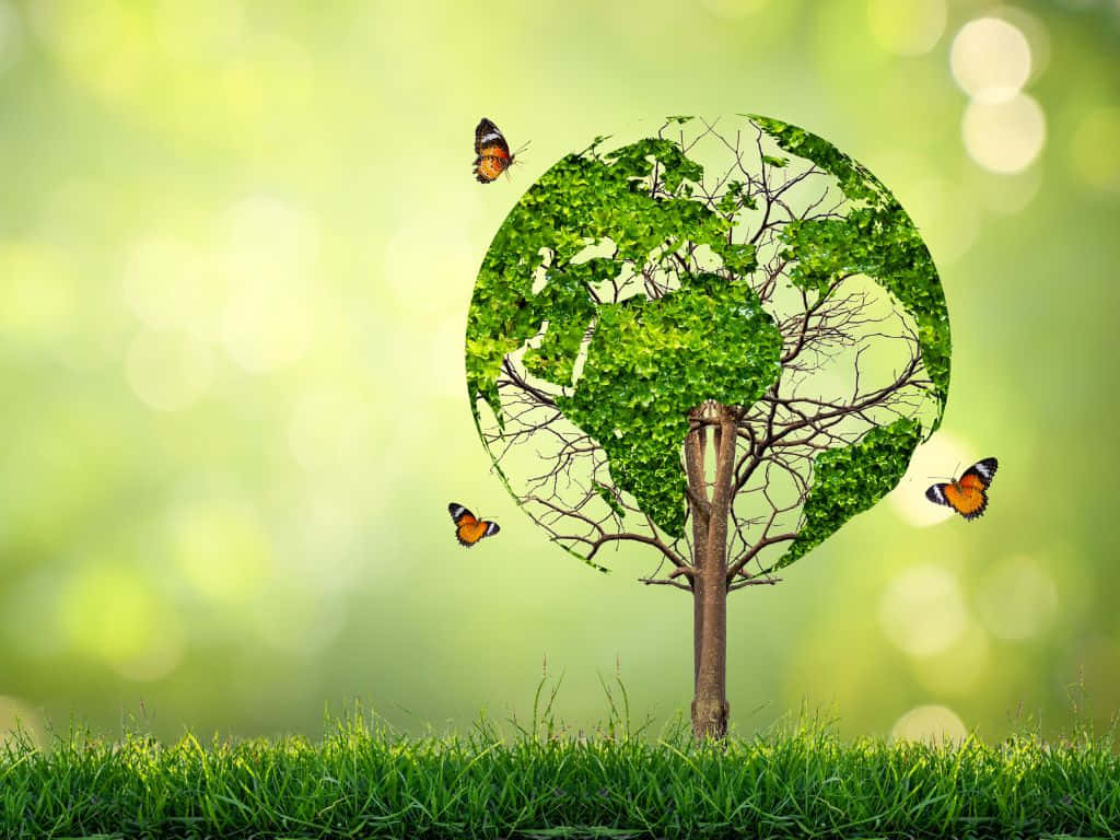 1024x768, Sunrise, Tree with leaves forming a globe, SD Desktop Wallpaper
