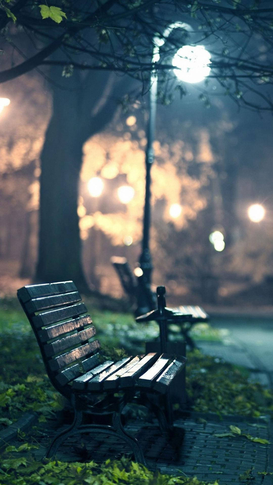1080p HD, wooden bench, misty park, Full HD Phone Wallpaper