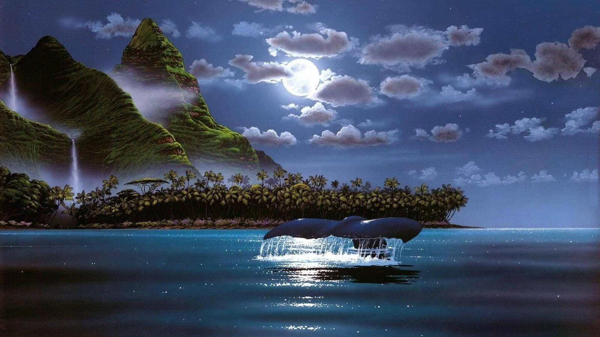 1080p HD, whale tail, tropical island, Full HD Desktop Wallpaper