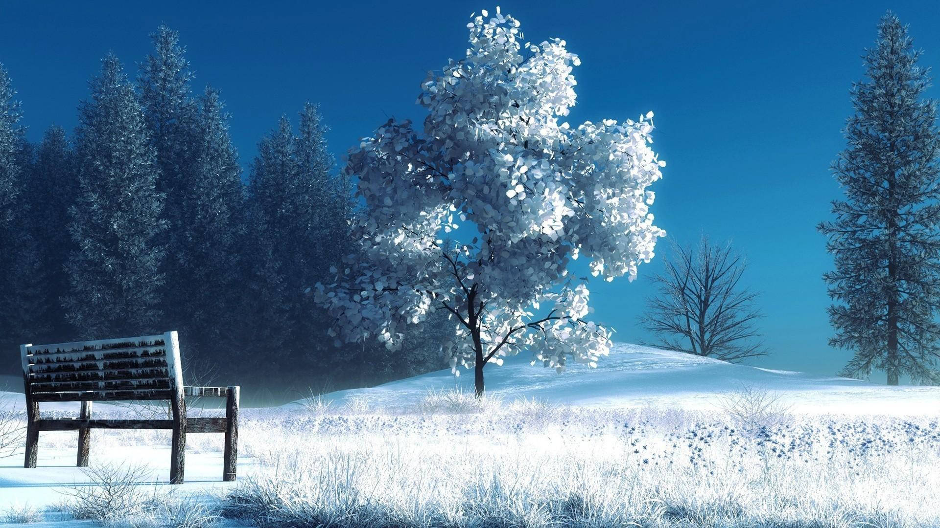 1080p HD, snow-covered bench, frost-laden tree, Full HD Desktop Wallpaper