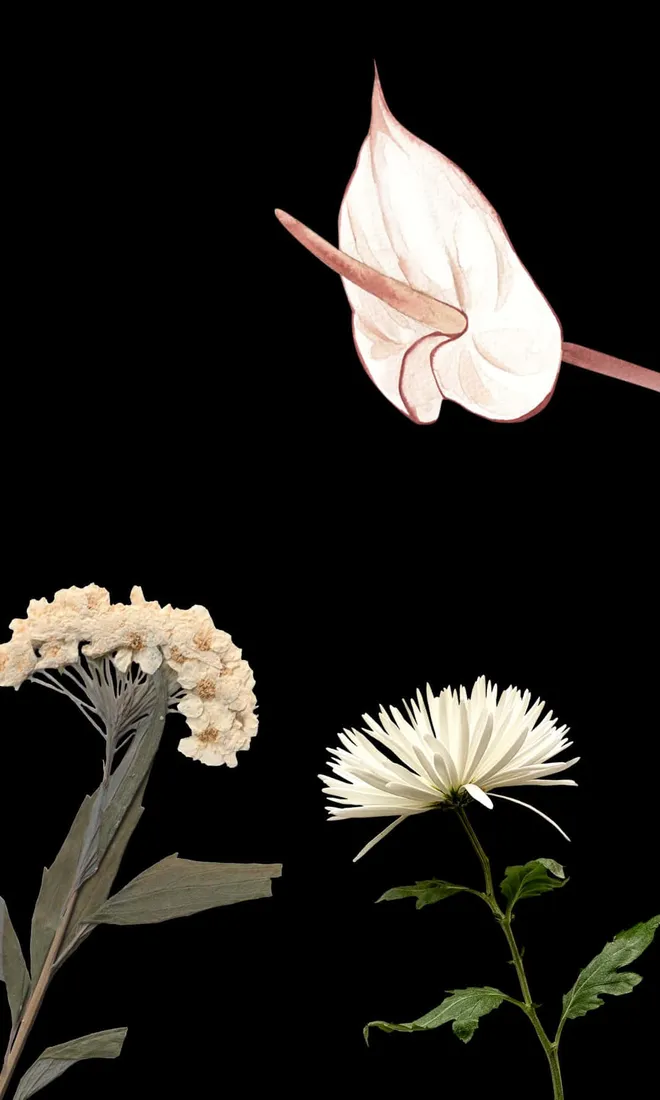 1080x1800