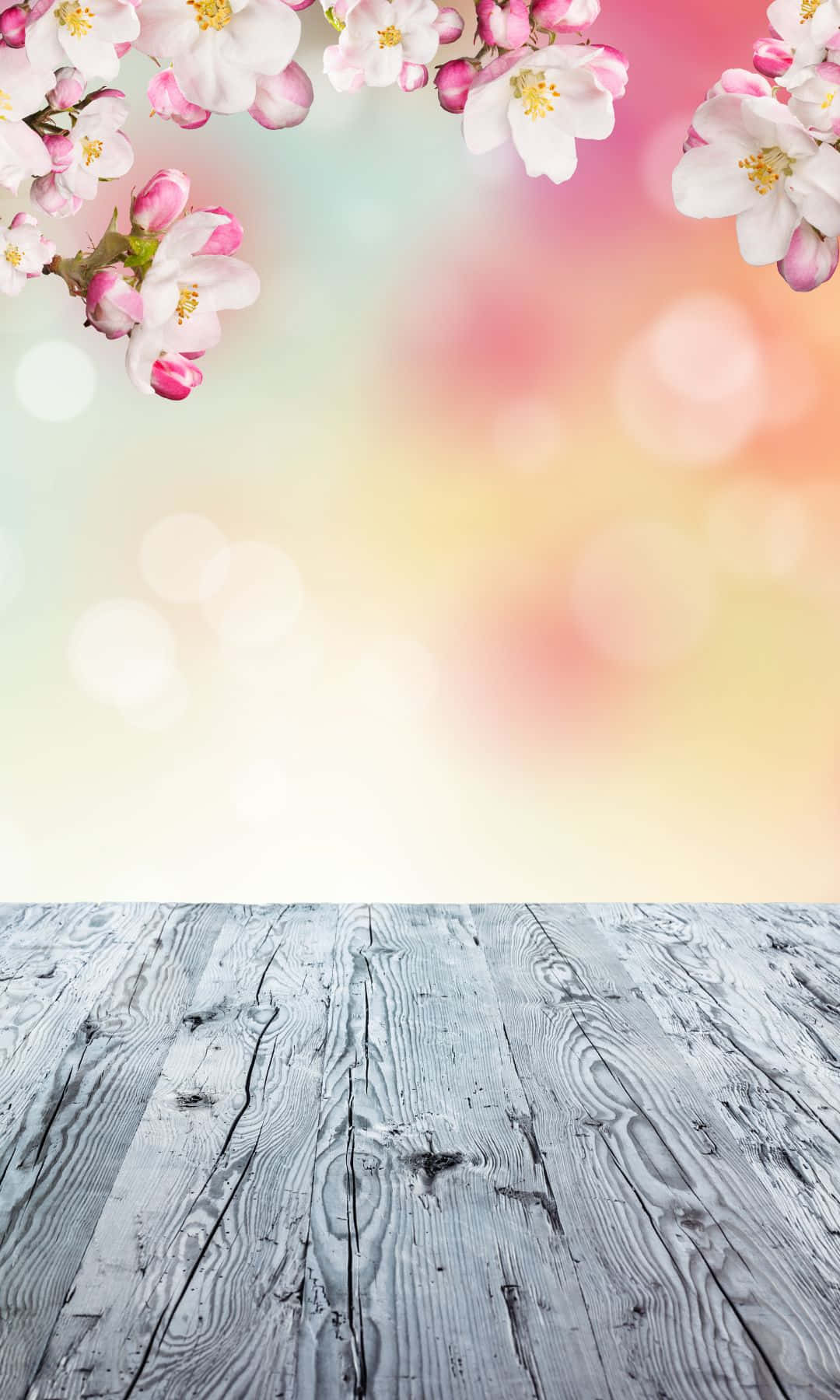 cherry blossoms, pink sky, pastel bokeh background, HD Phone Wallpaper