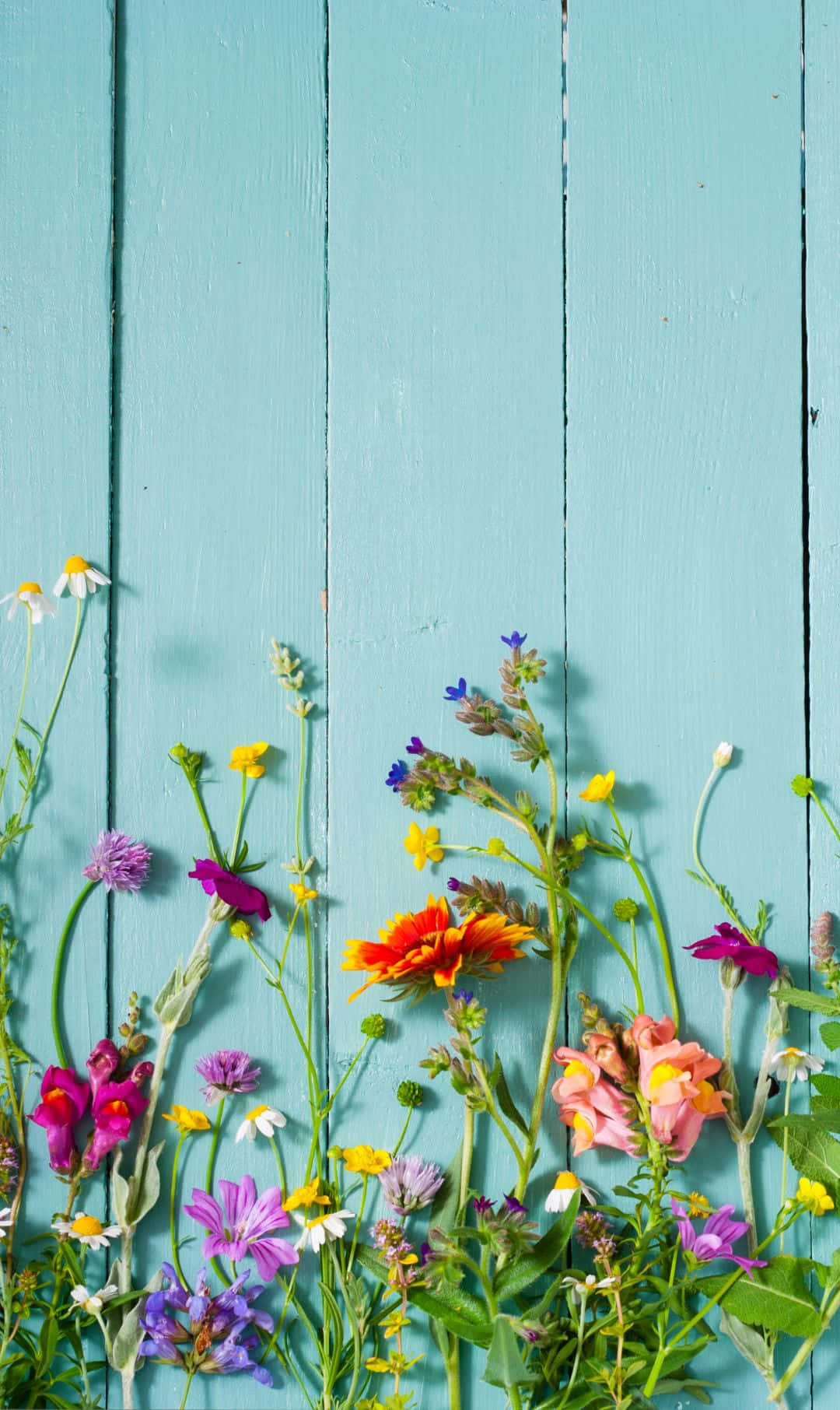 greenery background, wildflowers, pink, HD Phone Wallpaper