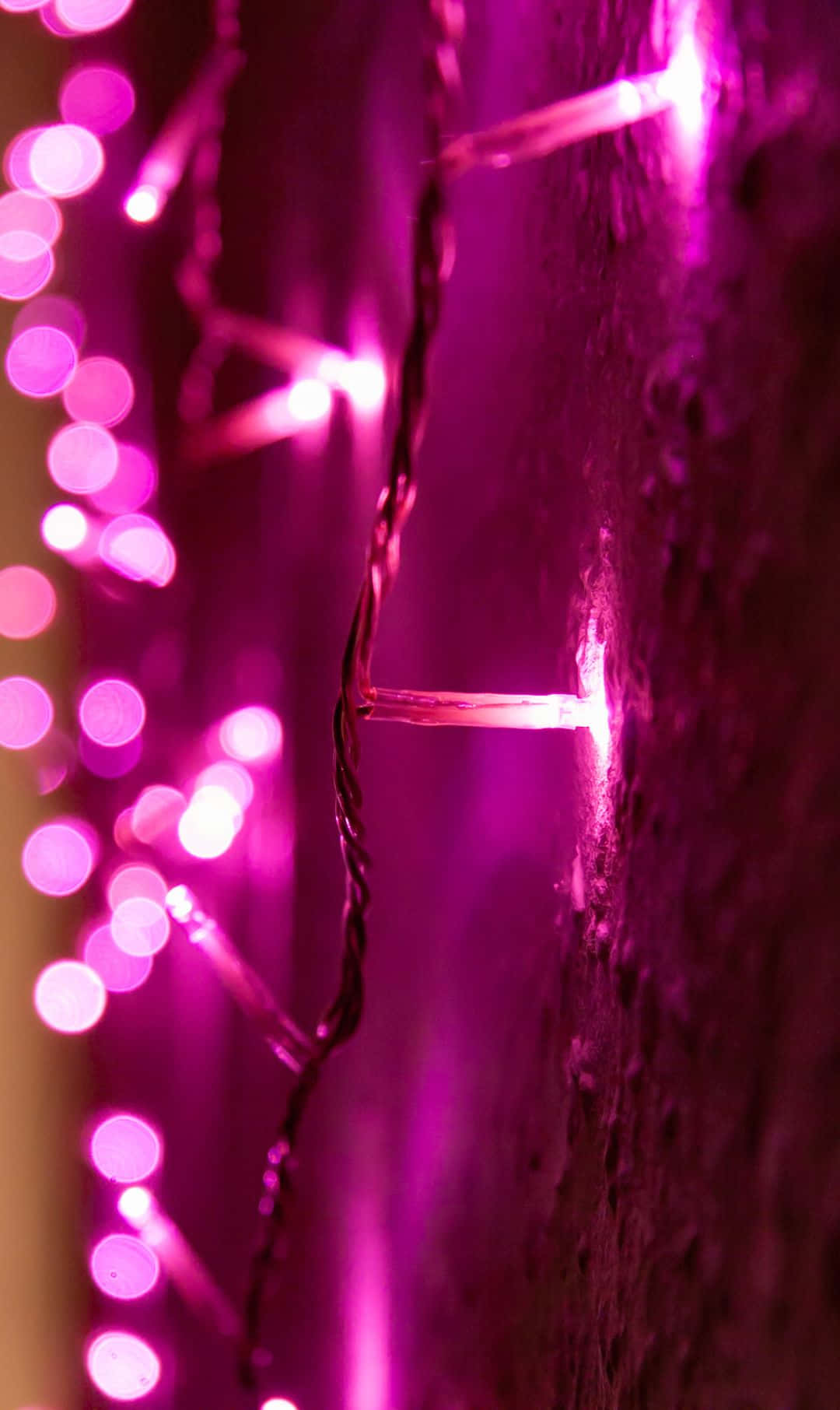 pink fairy lights, rough textured wall, dreamy festive glow, HD Phone Wallpaper