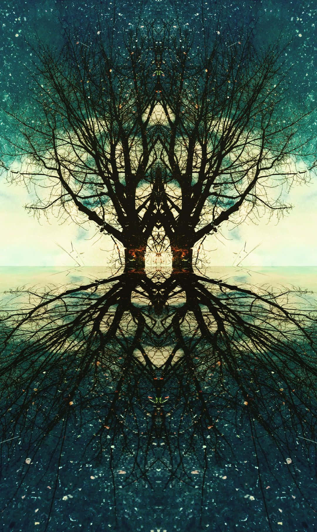 coastal sunset, starry teal sky, symmetrical tree, HD Phone Wallpaper