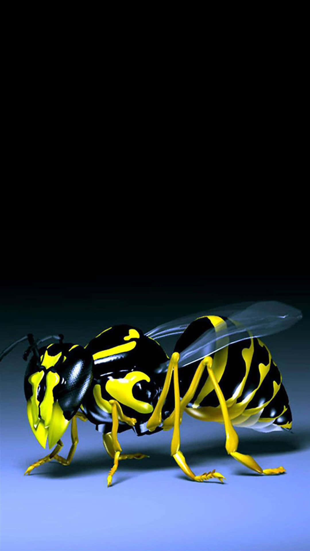 1080x1920, glossy yellow, black wasp, Full HD Phone Wallpaper