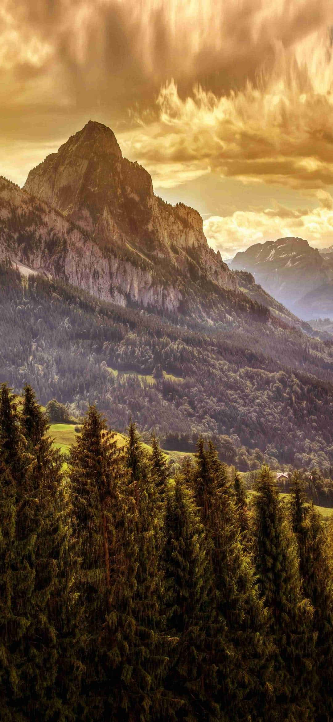 1080x2340 4K, mountain peak, dense forest, Full HD Phone Wallpaper
