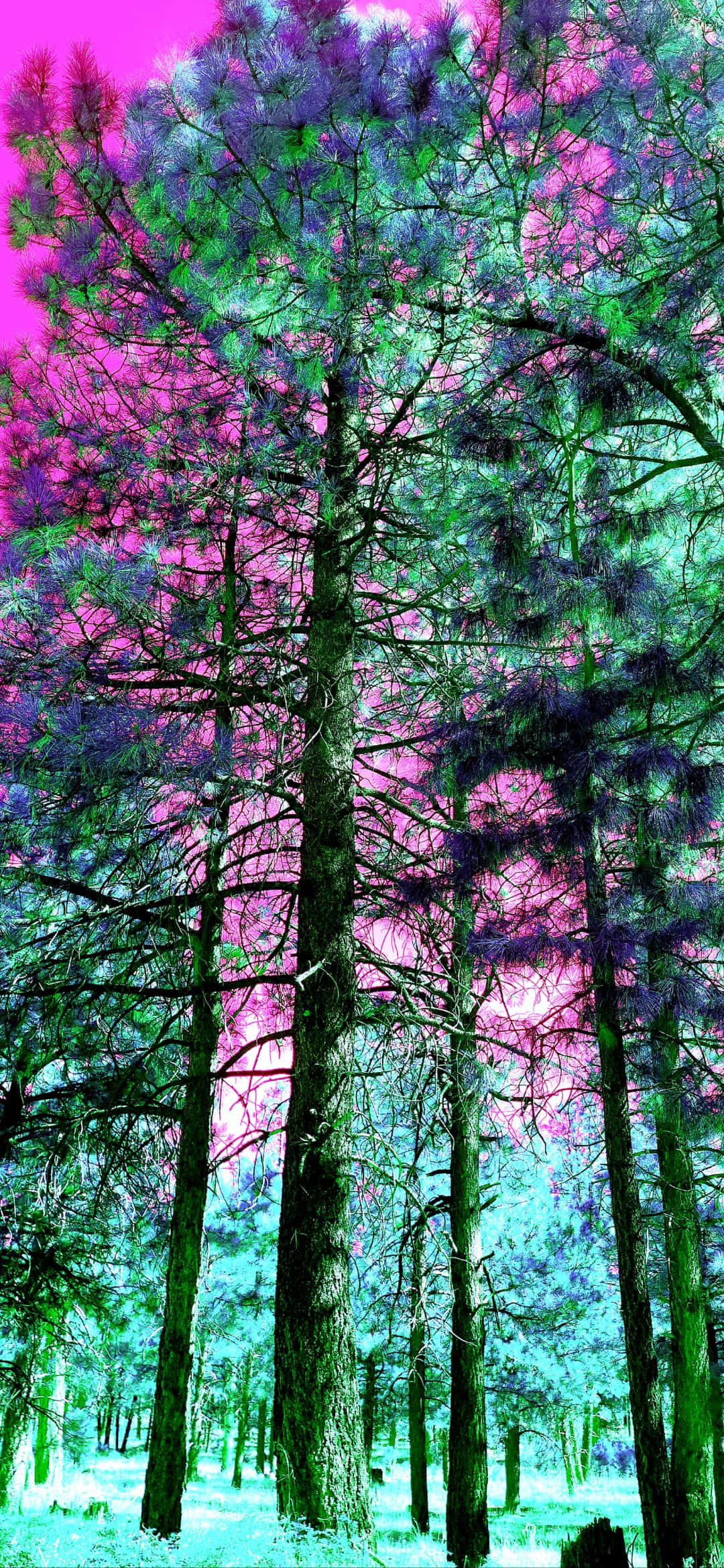1080x2340, magenta, cyan, Full HD Phone Wallpaper