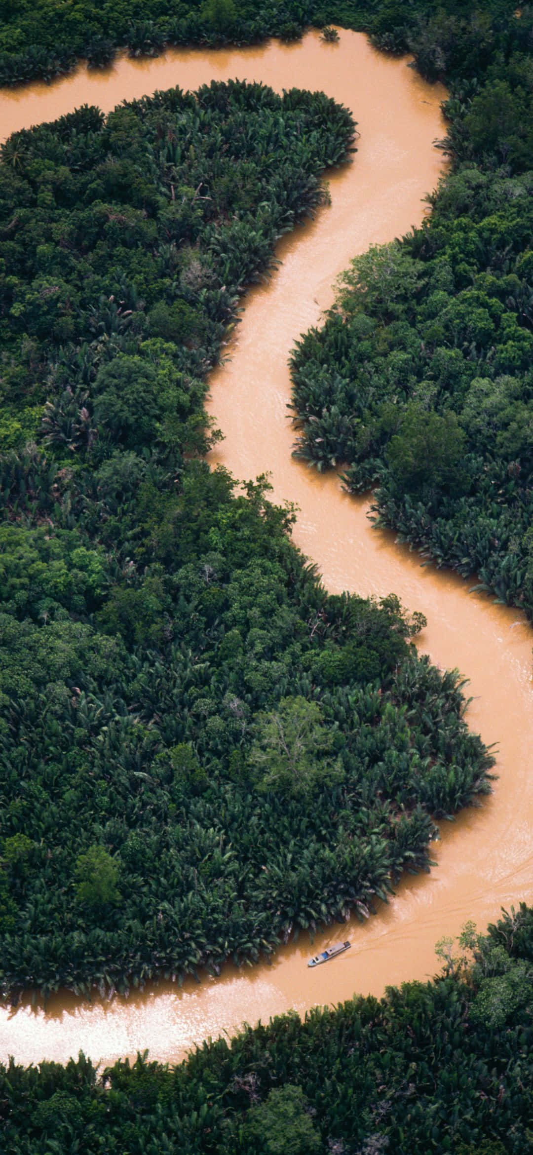 1080x2340, muddy river, dense emerald jungle, Full HD Phone Wallpaper