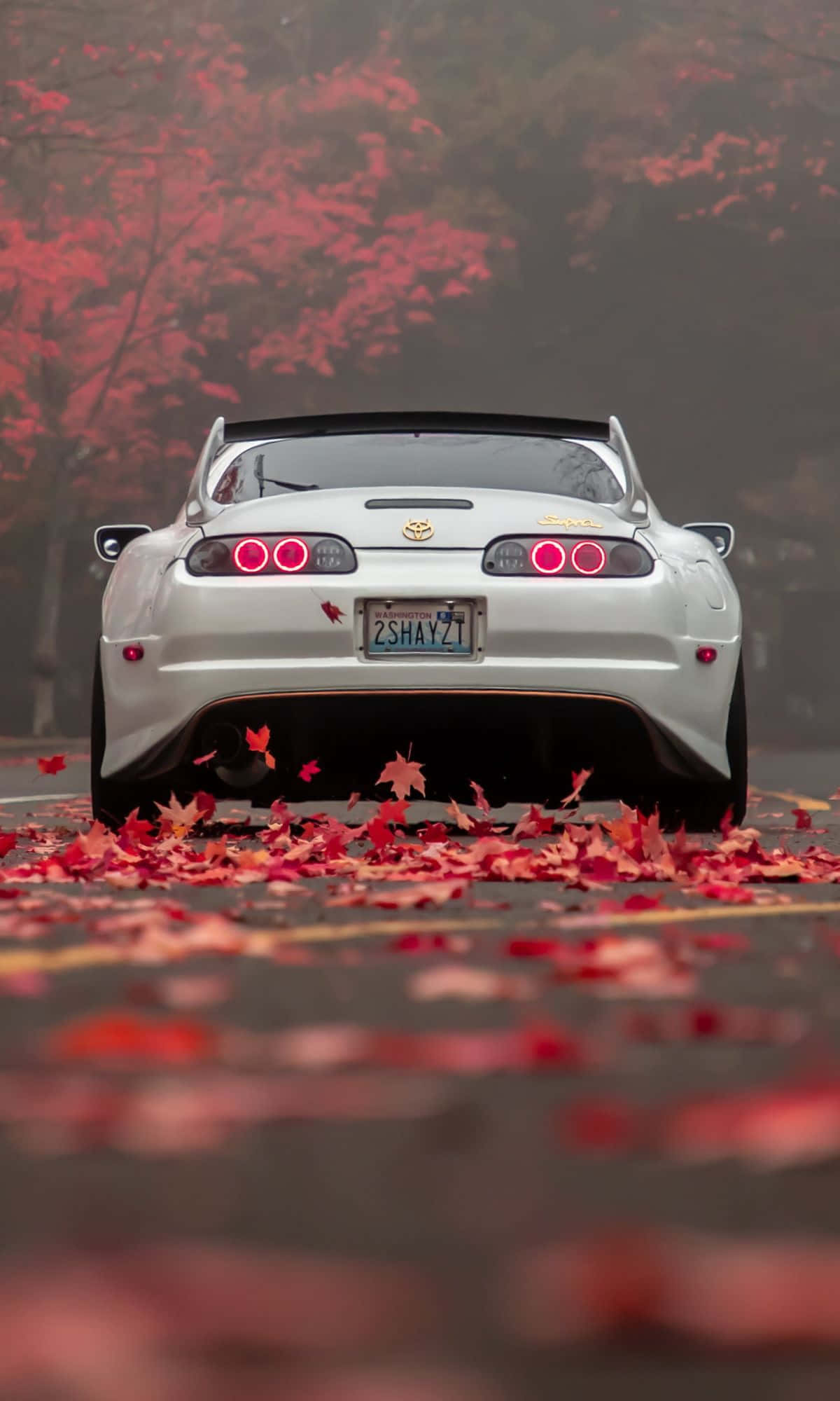 silver Toyota Supra, foggy road, vibrant red autumn leaves, Full HD Phone Wallpaper