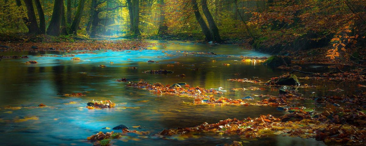 1200x480, autumn leaves, water, SD Desktop Wallpaper