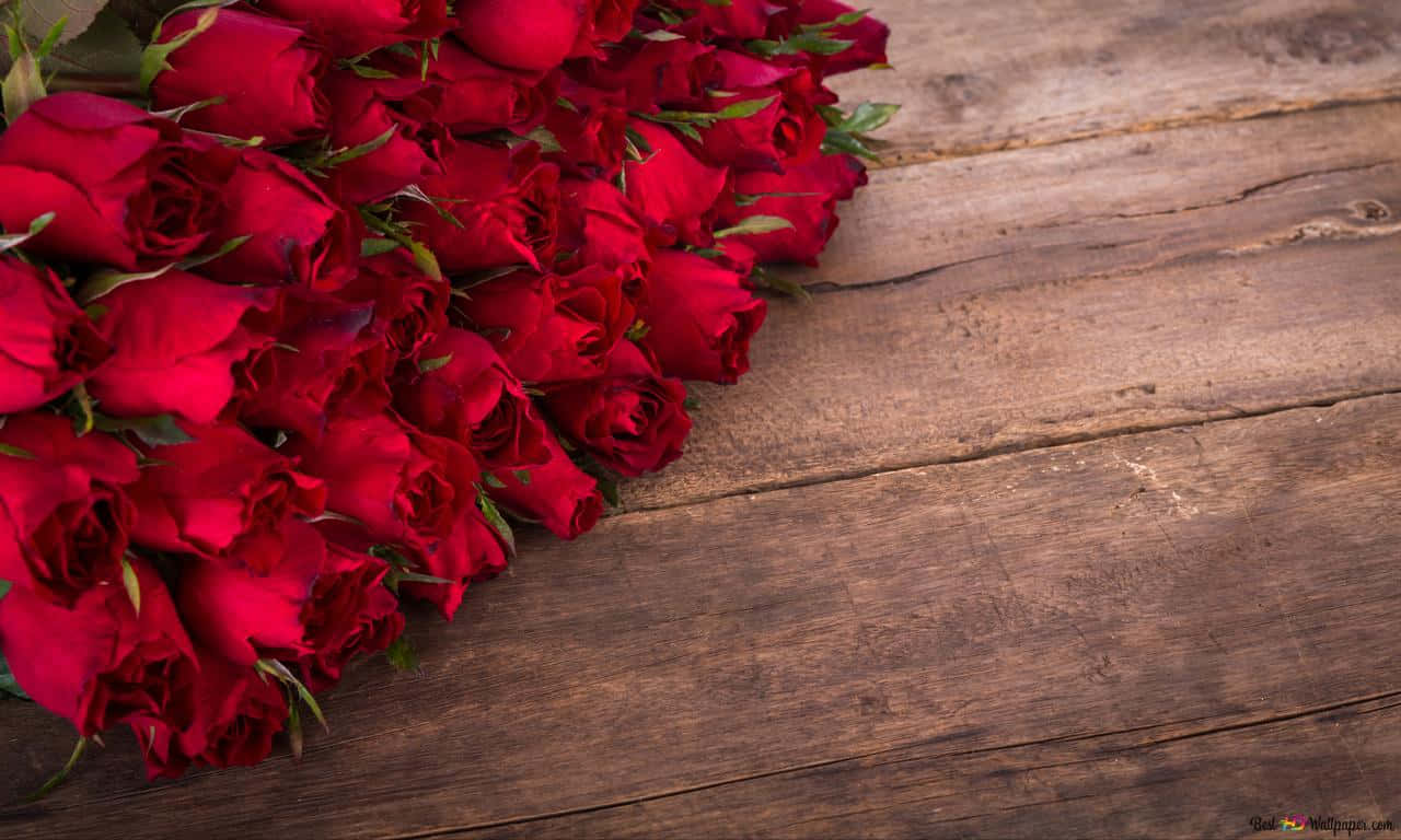 1280x768 rose, deep red roses, weathered wooden surface, HD Desktop Wallpaper