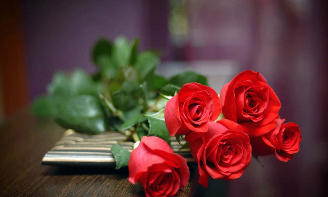 1280x768 rose, vibrant red roses, lush green leaves, HD Desktop Wallpaper