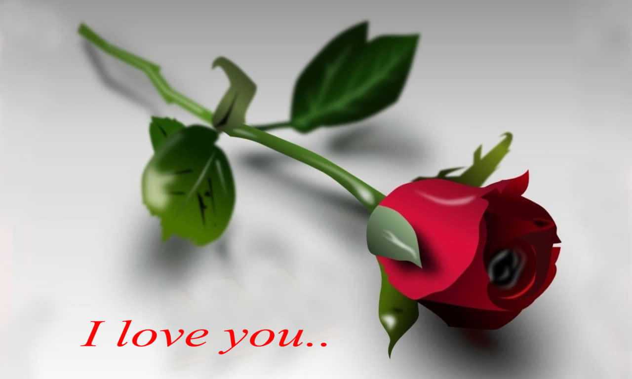 1280x768 rose, red rose, green leaves, HD Desktop Wallpaper