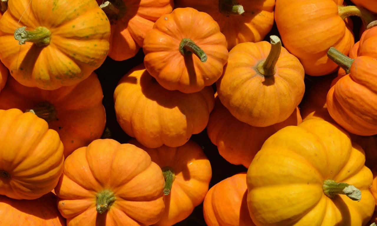 1280x768, pumpkins, orange, HD Desktop Wallpaper