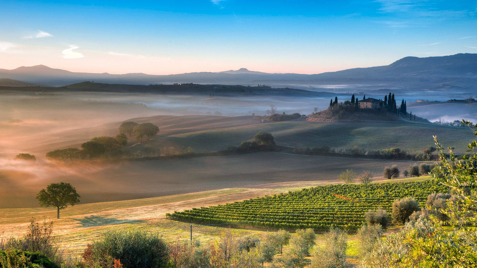 12k, Tuscan hills, vineyards, Full HD Desktop Wallpaper