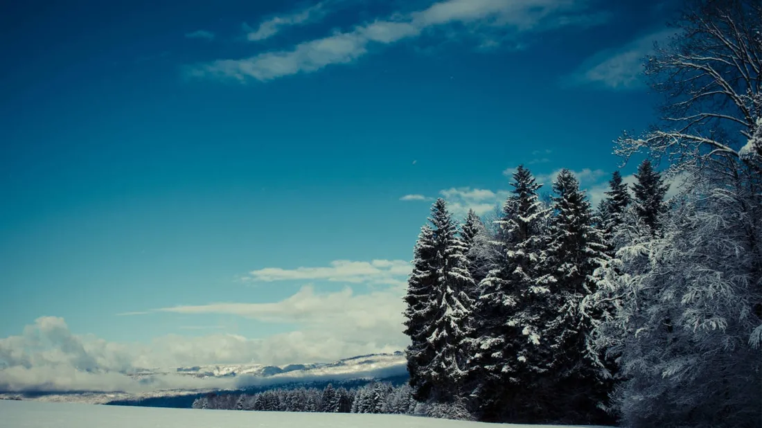 1366 X 768 Winter