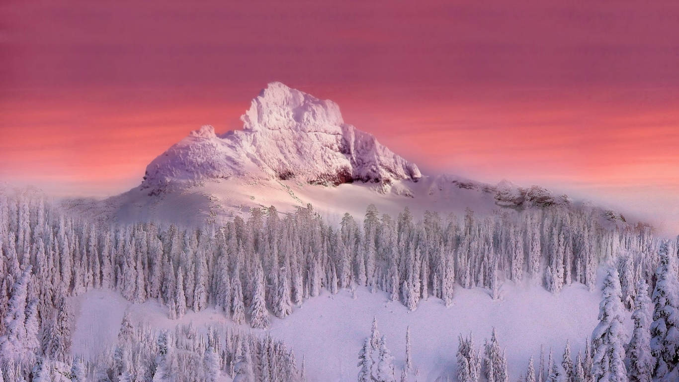 1366 x 768 winter, snow-capped mountain peak, forest of snow-laden pines, HD Desktop Wallpaper