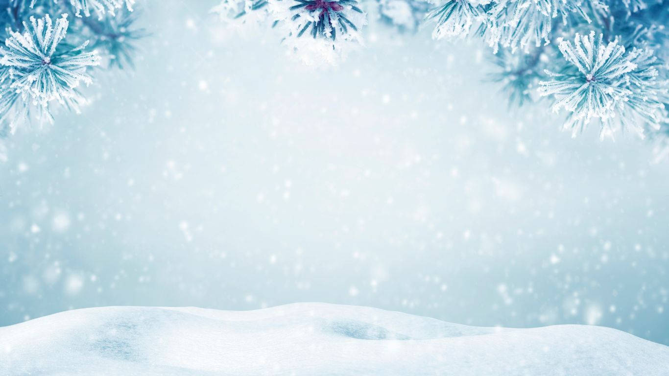snowy hills, frosted pine branches, snowy landscape, HD Desktop Wallpaper