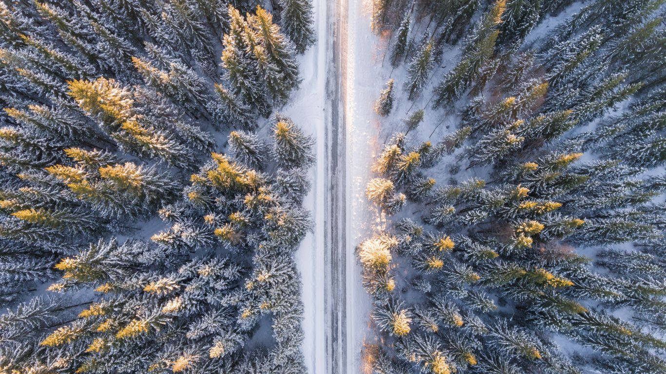 1366 x 768 winter, snow-covered road, dense forest, HD Desktop Wallpaper