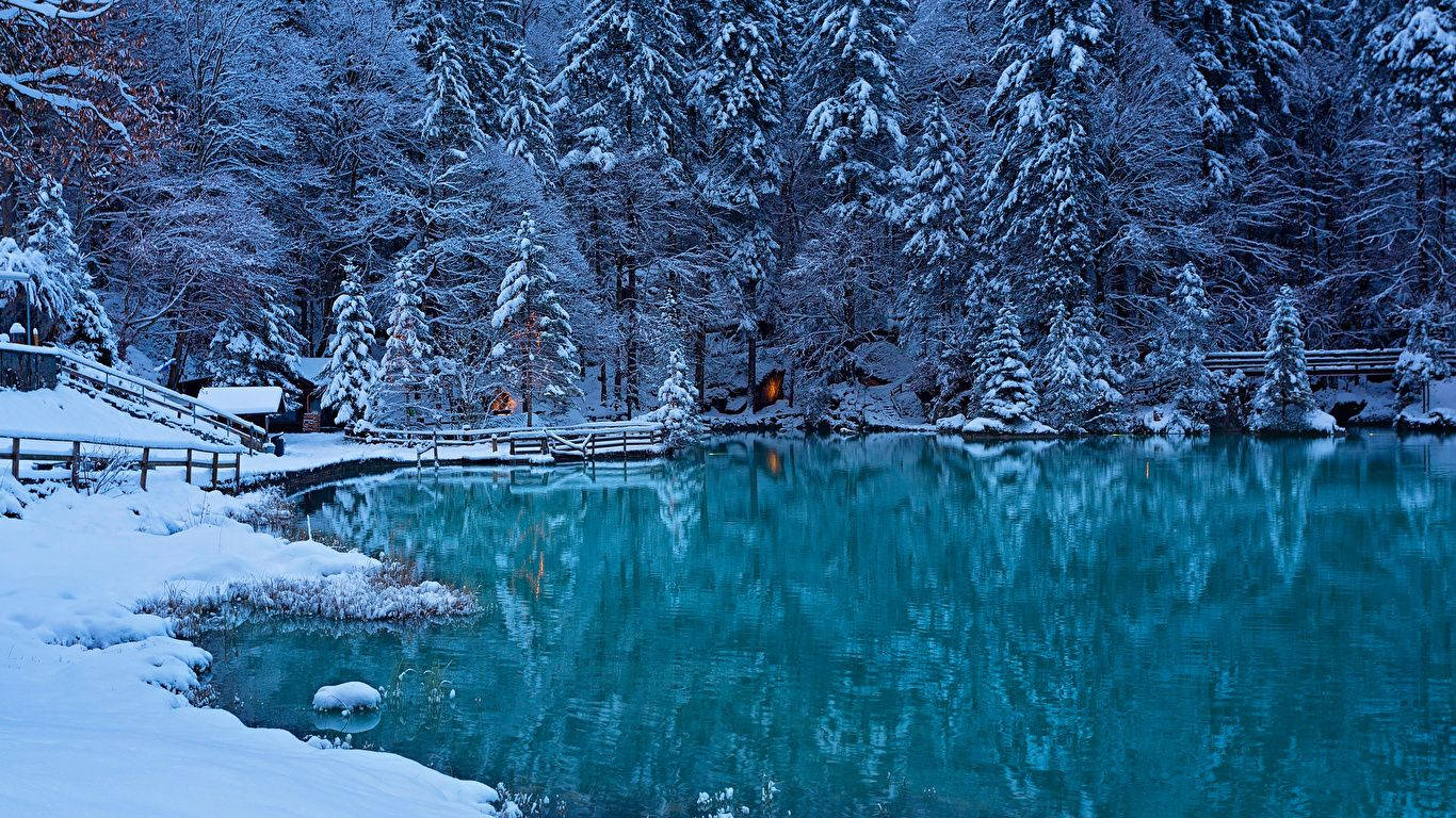 1366 x 768 winter, snow-covered pine trees, cozy cabin, HD Desktop Wallpaper