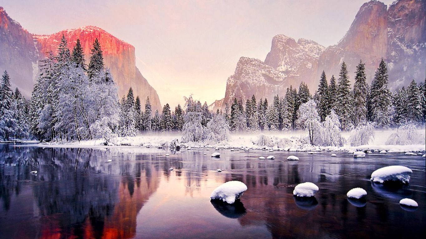 1366 x 768 winter, snow, pine trees, HD Desktop Wallpaper