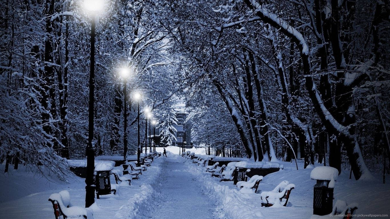 1366 x 768 winter, snow-covered park pathway, night, HD Desktop Wallpaper