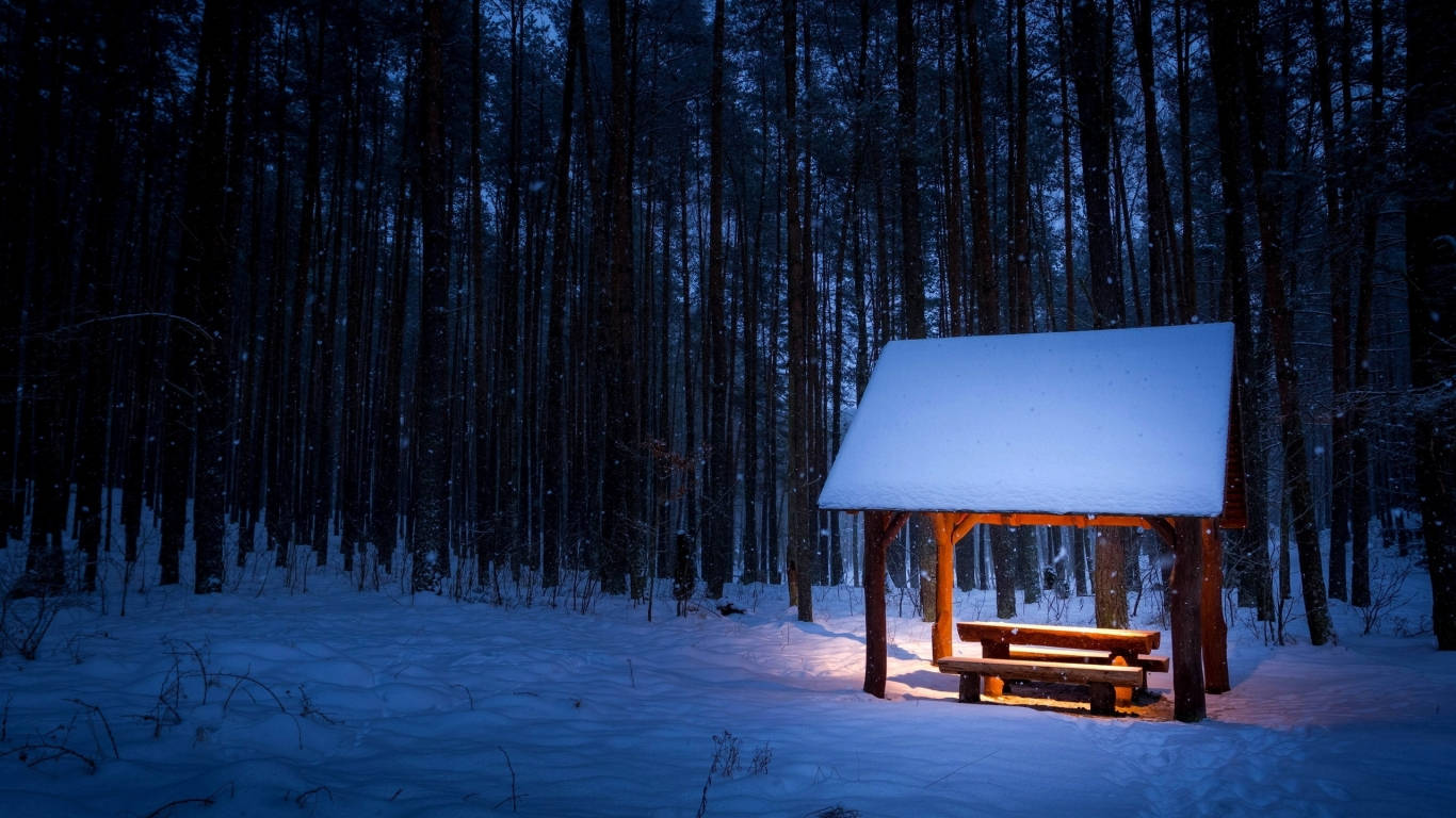 1366 X 768, winter, snow-covered wooden shelter, HD Desktop Wallpaper