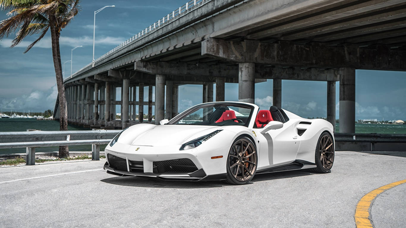 Ferrari, 488 Spider, white, HD Desktop Wallpaper