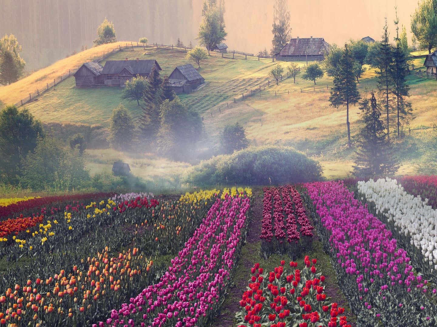 1440x1080, misty hillside, rustic wooden cabins, HD Desktop Wallpaper
