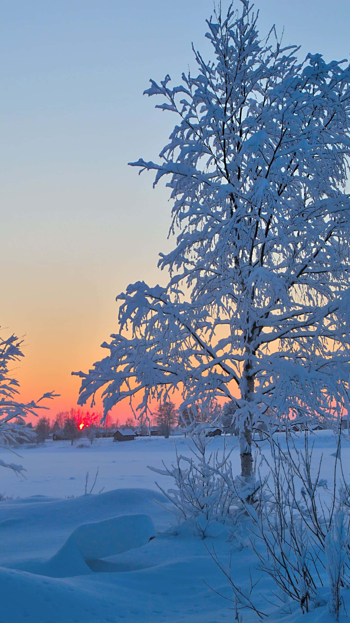 1440x2560, winter sunrise, orange and blue hues, 2K Phone Wallpaper