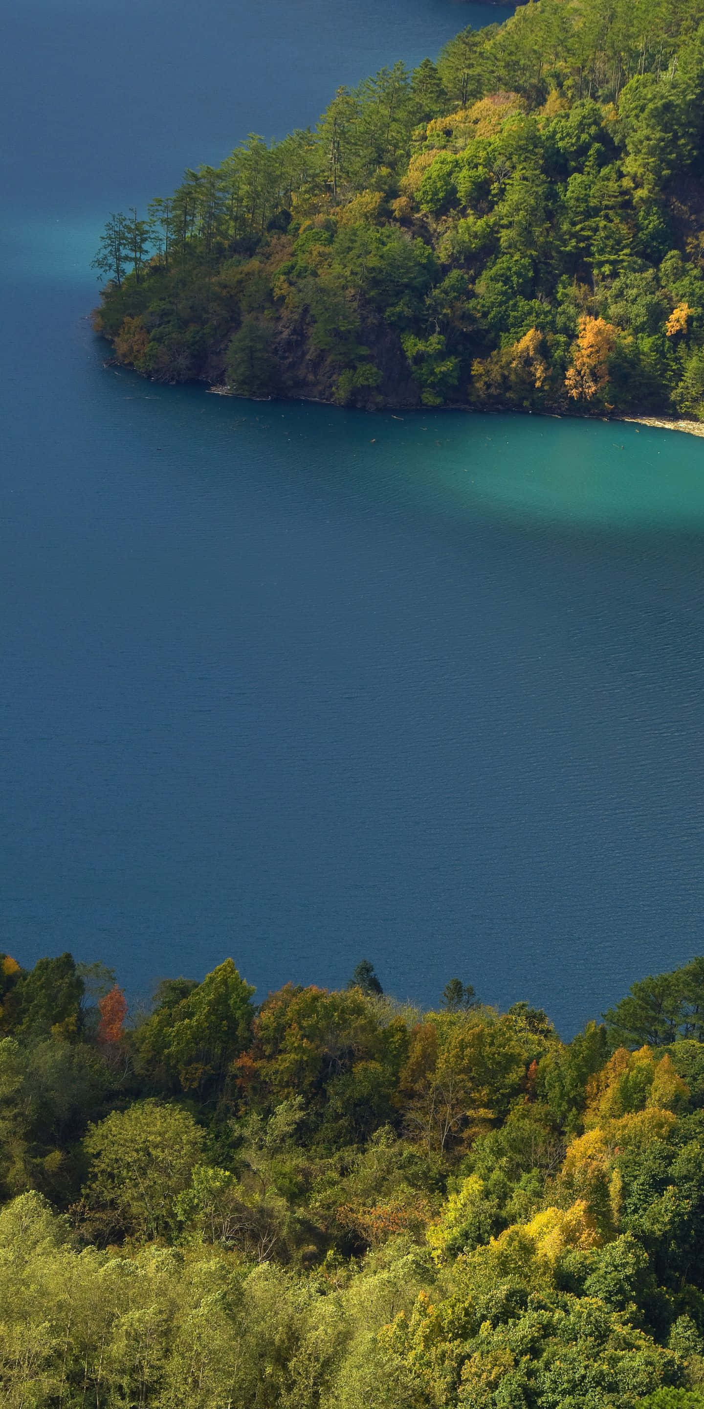 1440x2880, deep blue lake, forested hills, 2K Phone Wallpaper