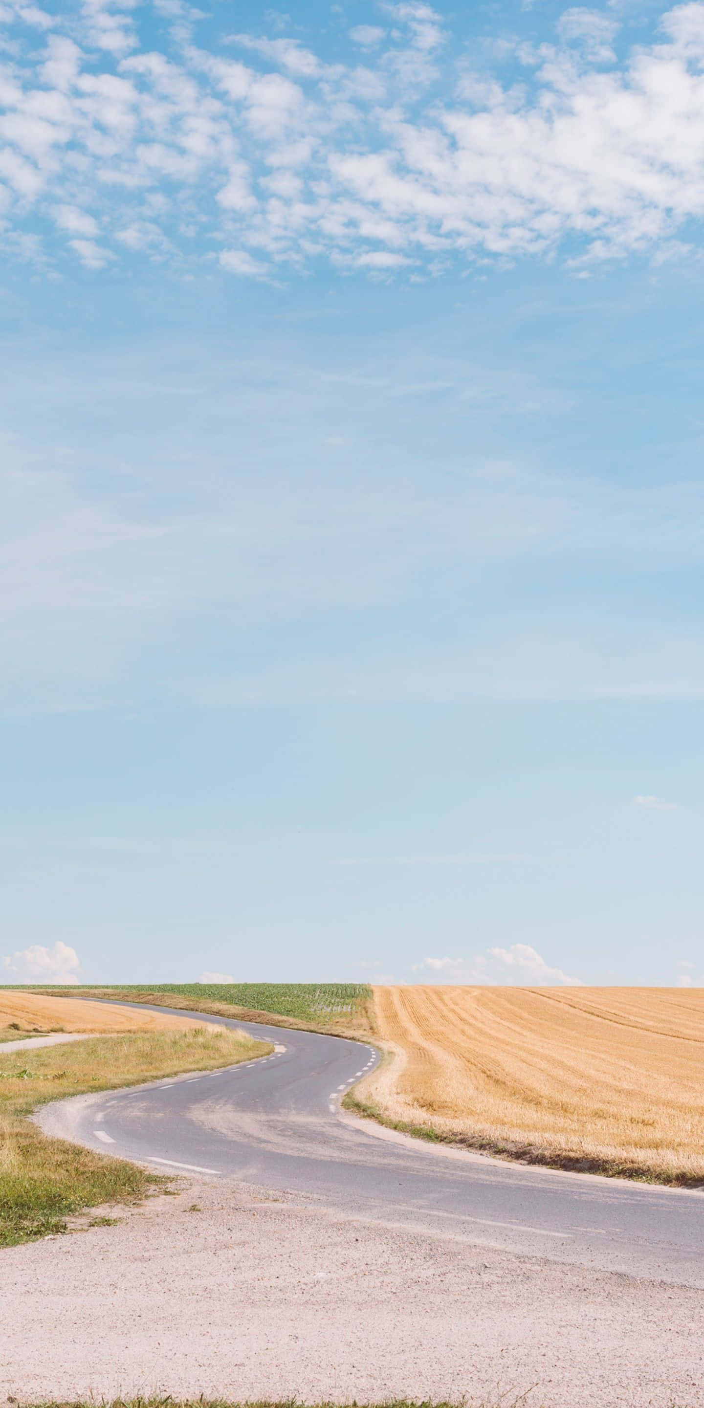 1440x2880, asphalt road, golden wheat fields, 2K Phone Wallpaper