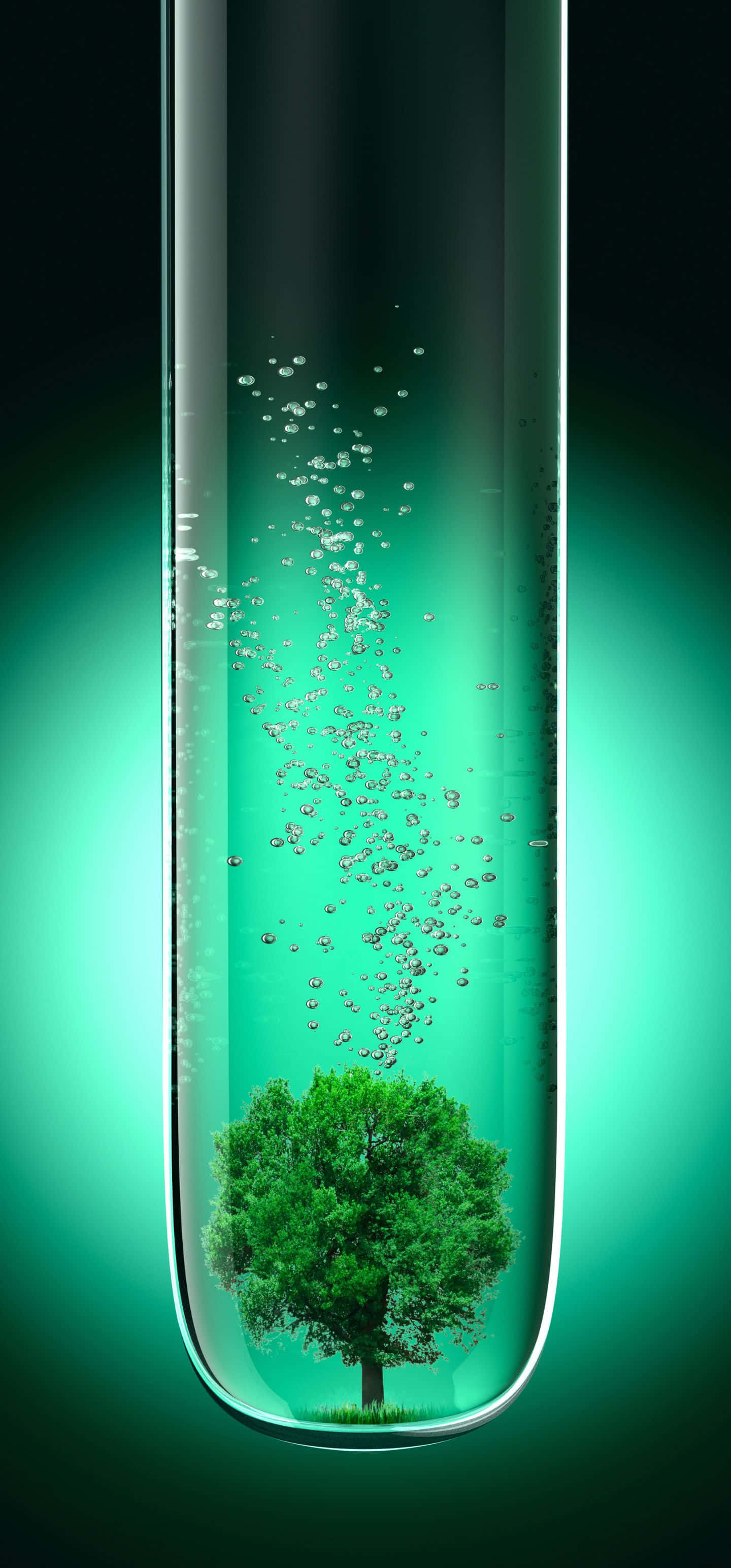 1440x3088, glass test tube, glowing green liquid, 2K Phone Wallpaper