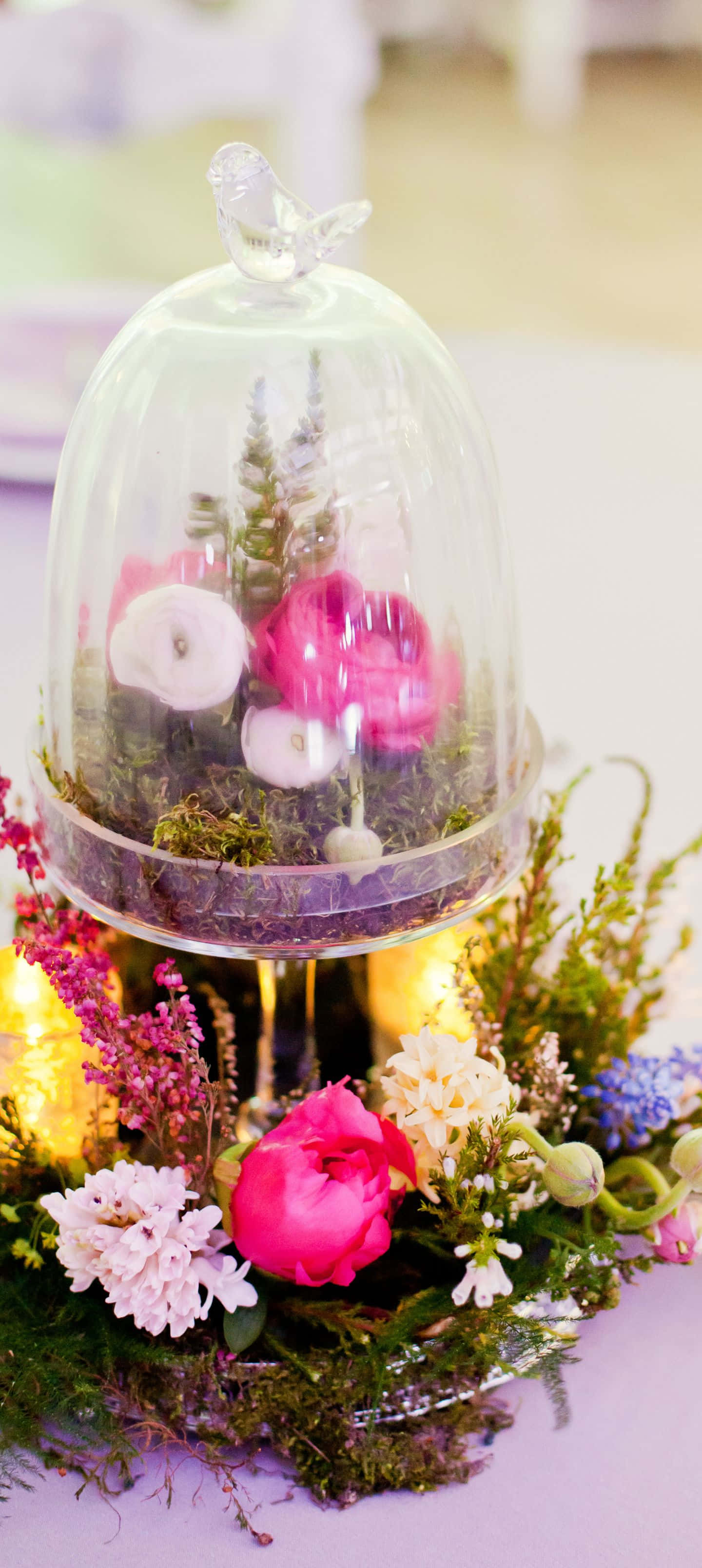 1440x3216, glass cloche, vibrant pink and white flowers, 2K Phone Wallpaper