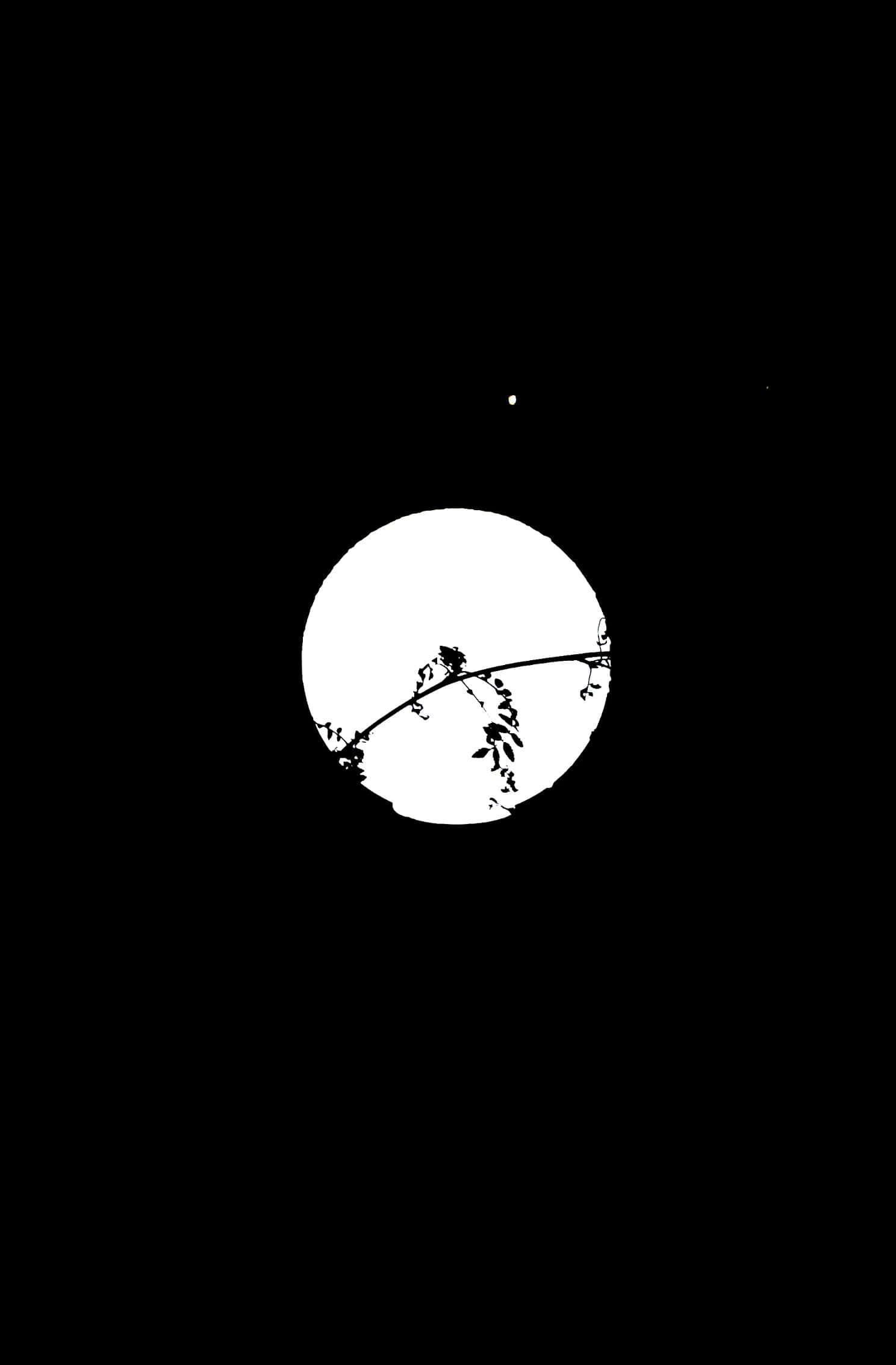 black and white silhouette, branch with leaves, full moon, Full HD Phone Wallpaper