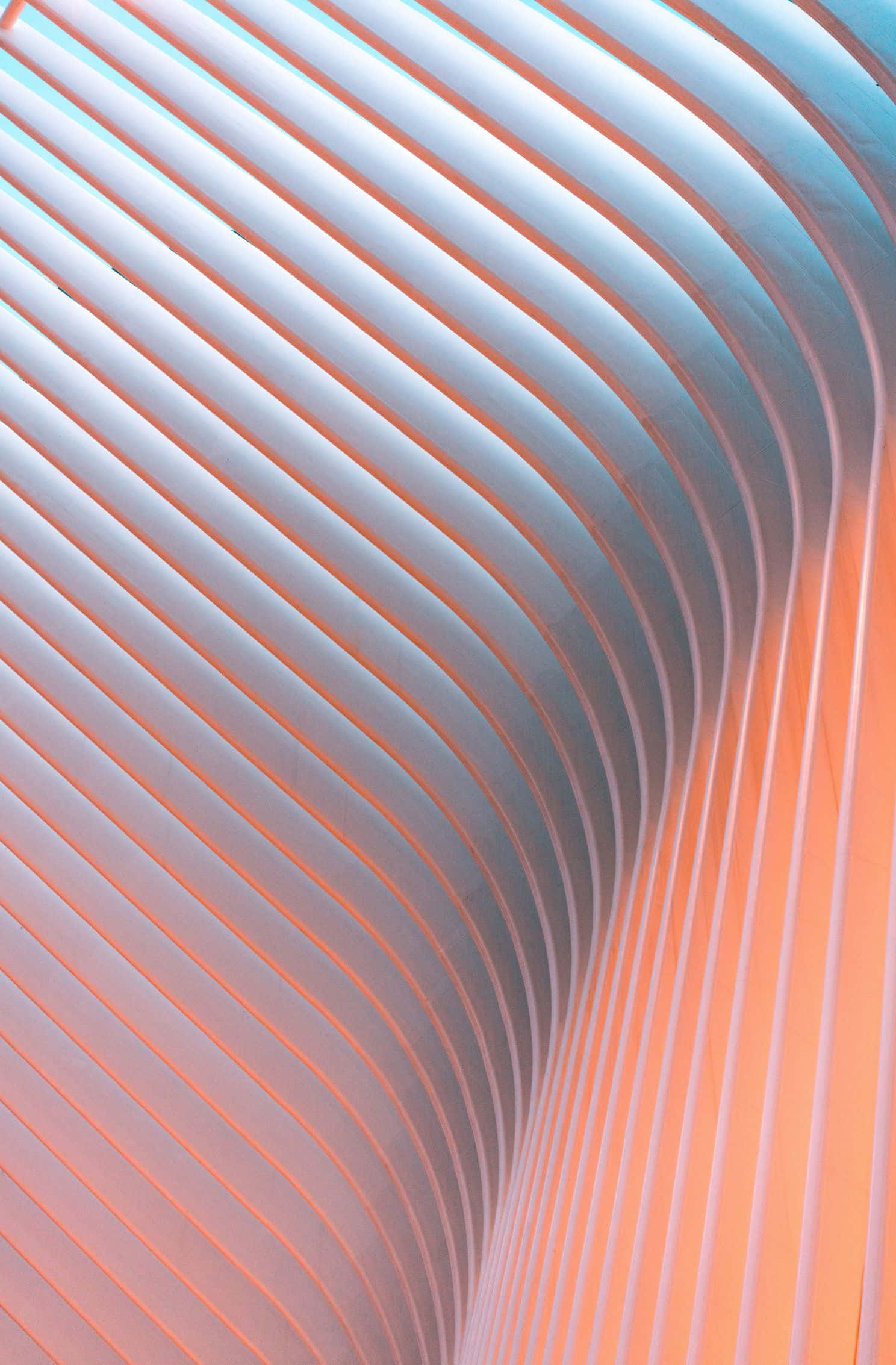 1488x2266, peach, teal, Full HD Phone Wallpaper