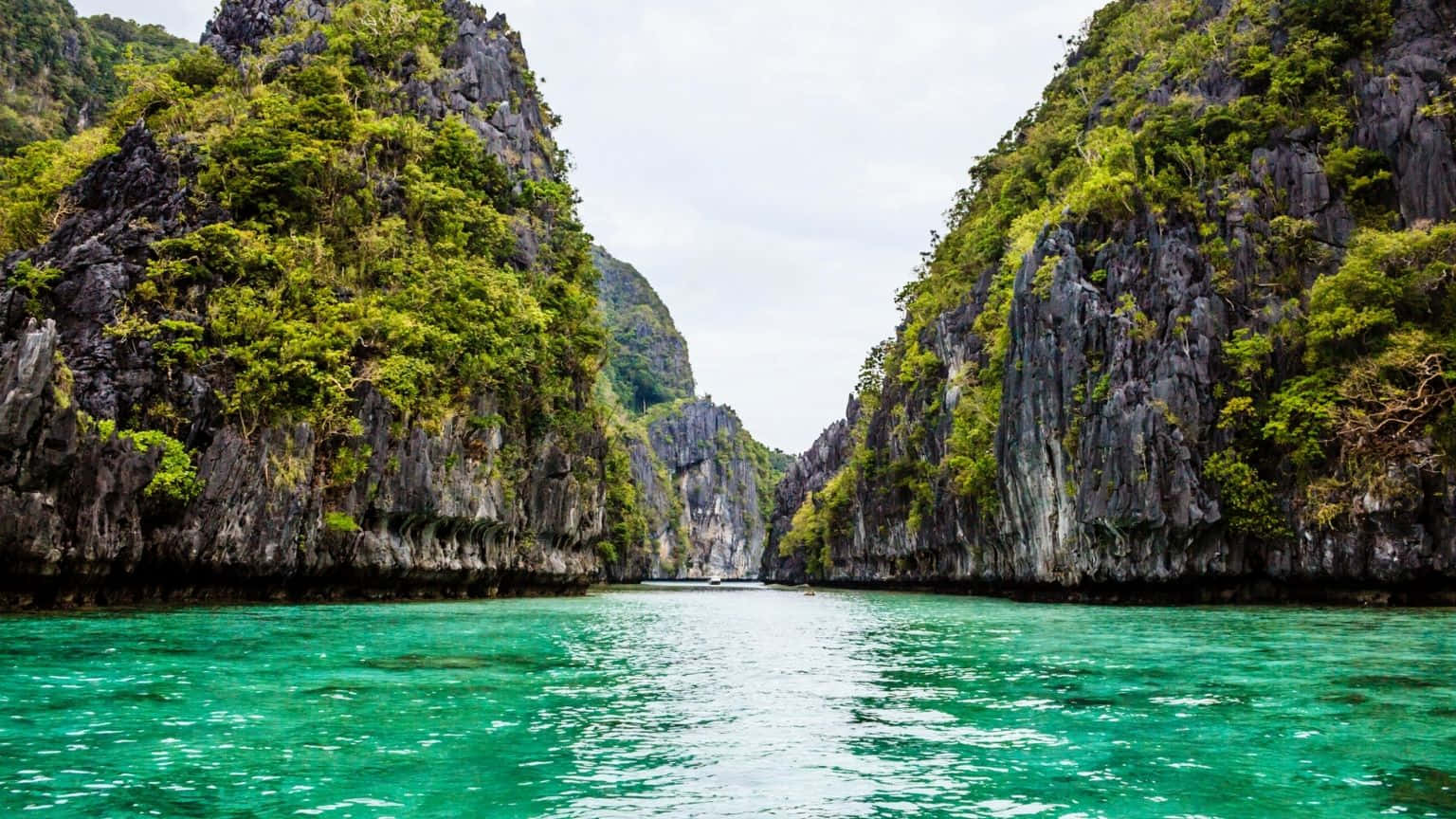 1536x864, turquoise channel, jungle-covered limestone cliffs, HD Desktop Wallpaper