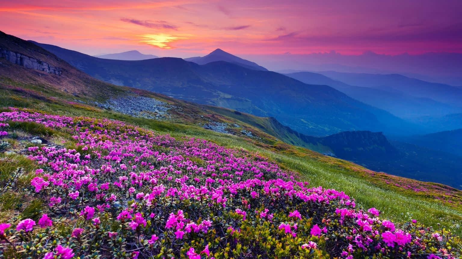 1536x864, lake, sunset, HD Desktop Wallpaper