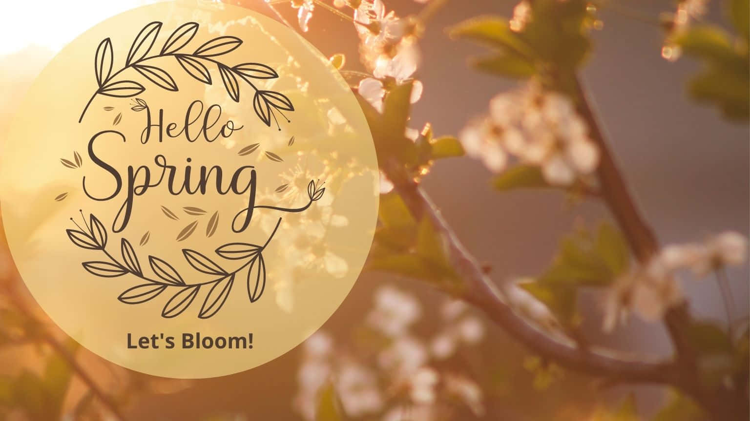 1536x864, golden circular graphic, Hello Spring Let's Bloom!, HD Desktop Wallpaper