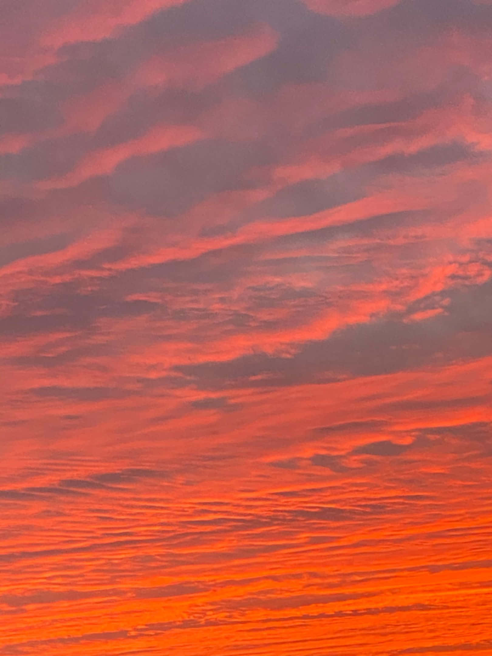 Vibrant Orange, Pink Clouds, Fiery Sunset Sky, Full HD Phone Wallpaper
