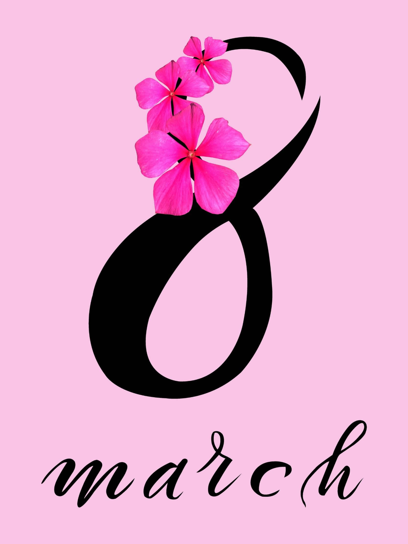 black number eight, vibrant pink flowers, soft pink background, Full HD Phone Wallpaper