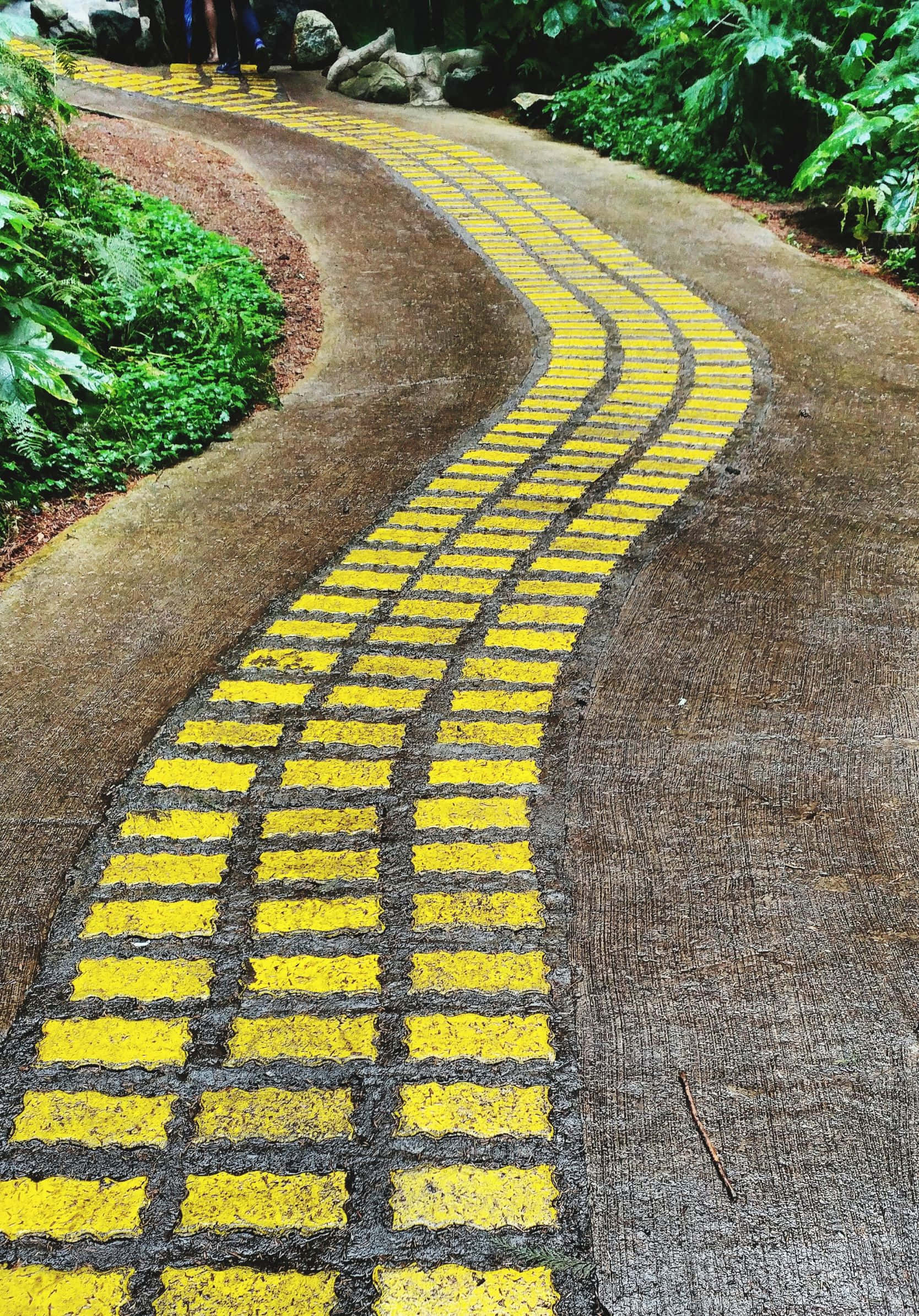 1668x2388, winding path, bright yellow painted squares, Full HD Phone Wallpaper